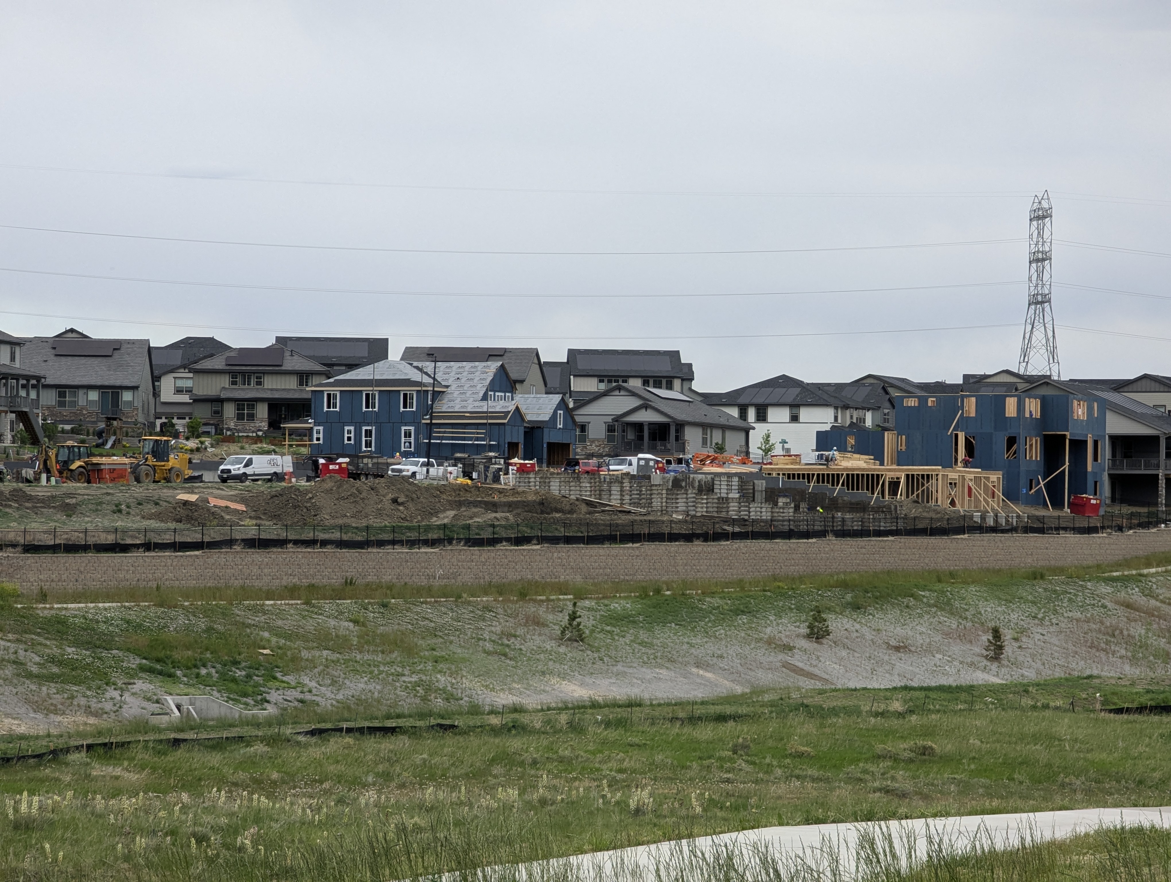 Garden, Flowers, Morrison, Colorado